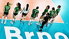 Hrá�ky KP Brno s trenérem Erikem Nezhodou.