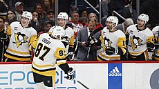 Kapitán Pittsburghu Sidney Crosby slaví trefu proti Washingtonu.