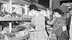Na Tylov námstí v Praze byla v roce 1960 otevena moderní prodejna drbee,...
