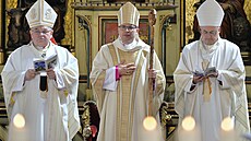 Tomá Holub (uprosted) pijal 30. dubna v katedrále svatého Bartolomje v...
