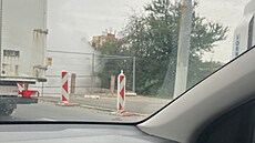 Pár dní stará fotografie.