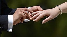 Ilustra�ní snímek