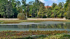 Vyputný Horní rybník v Zámecké zahrad v Teplicích (íjen 2023)