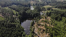 Pedmtem ochrany Slavonických rybník jsou spoleenstva vodních rostlin,...