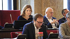 Na mimo�ádném zasedání brn�nského zastupitelstva se �e�ilo, zda m�sto bude...