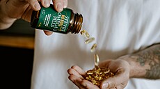 Tobolky od Steve�s po�ídíte do �ty� stovek.