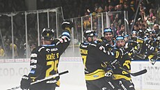 Verva Litvínov - HC Sparta Praha, domácí slaví vít�zný gól.