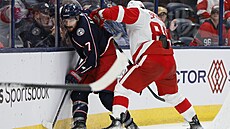 Sean Kuraly (vlevo) z Columbusu v souboji s Danielem Sprongem z Detroitu.