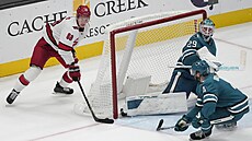 Martin Neas (88) z Carolina Hurricanes skóruje proti San Jose Sharks,...