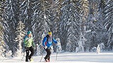 Vedle tradiního lyování láká Salcburský Saalachtal na snnice