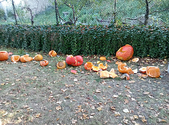 Upravené dýn� d�tem v Kurd�jov� na B�eclavsku dvakrát poni�il místní fará�...