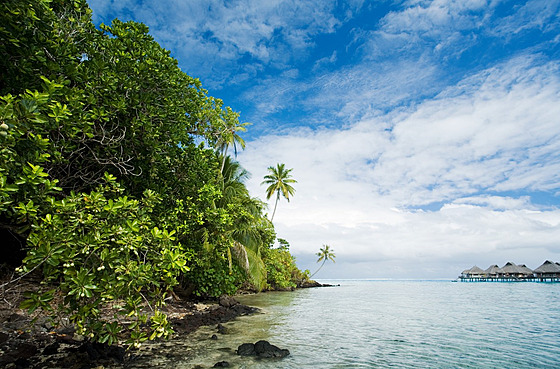 Tropický ráj Bora Bora je na druhé píce svtové popularity.