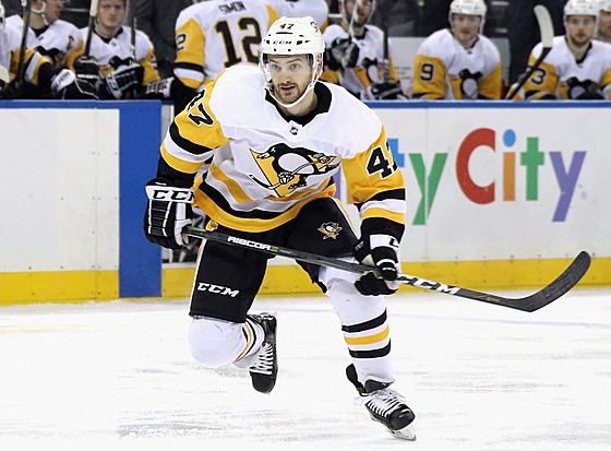 Adam Johnson odehrál v NHL tináct zápas, vechny za Pittsburgh Penguins.