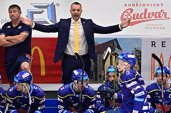 Trenér hokejist eských Budjovic se roziluje bhem zápasu s pardubickým...