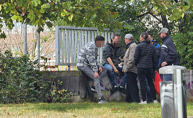 Parík v brnnské Líni je tradiním místem k setkávání lidí zvyklých trávit...