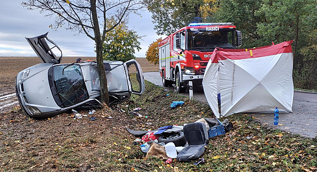 Senior na Orlickoústecku narazil autem do stromu, spolujezdkyně nepřežila