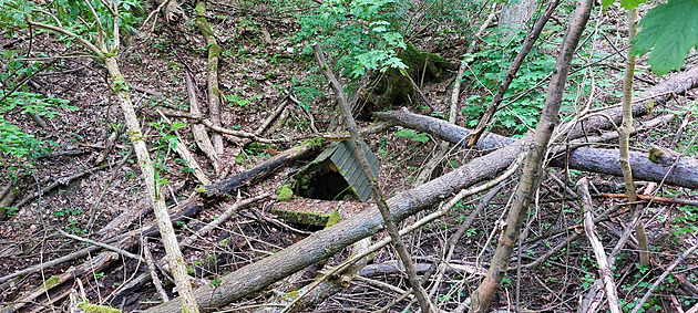 Lesy ČR pokácely stromy, které zatarasily cestu ke studánce. Odklidit je nechtějí