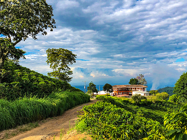 Kofola má latinskoamerickou spojku, gigant kupuje kávové plantáže v Kolumbii