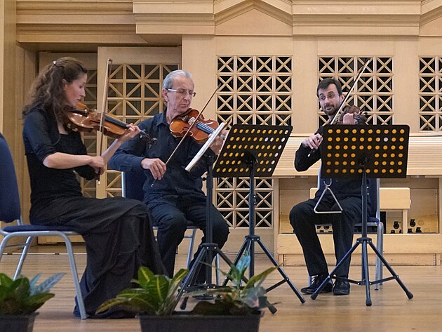 Soubor Parnas Ensemble