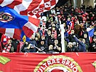 Fanouci Zbrojovky Brno podporují své oblíbence bhem derby proti Líni.