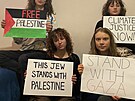 Greta Thunbergová dala na sociální síti najevo podporu Pásmu Gazy, pvodní foto...