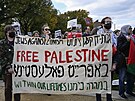 Demonstrace amerických id na podporu Palestiny ve Washingtonu (18. íjna 2023)