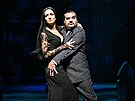 Mstské divadlo Brno uvede muzikál The Addams Family jako vtipnou, ironickou a...