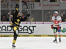 HC Verva Litvínov - HC Dynamo Pardubice, 14. kolo hokejové extraligy. Michal...
