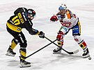 HC Verva Litvínov - HC Dynamo Pardubice, Petr Koblasa z Litvínova jet s...