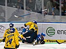 Rytíi Kladno - Banes Motor eské Budjovice, 12. kolo hokejové extraligy....