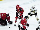 Petr Mrázek (34) z Chicago Blackhawks elí v utkání s Boston Bruins stele...