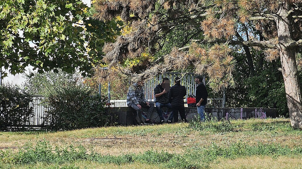 Par�ík v brn�nské Lí�ni je tradi�ním místem k setkávání lidí zvyklých trávit...