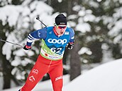 Běžec na lyžích Michal Novák během mistrovství světa v Planici.