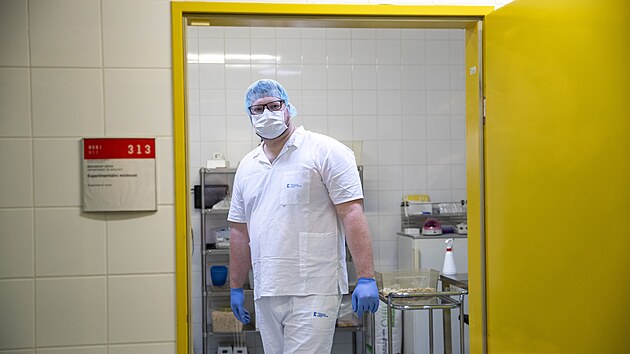 Vzkumn pracovnk Daniel Bua provd v laboratoi Fakultn nemocnice Brno vzkum leukemie s vyuitm experiment na speciln vylechtnch mych.
