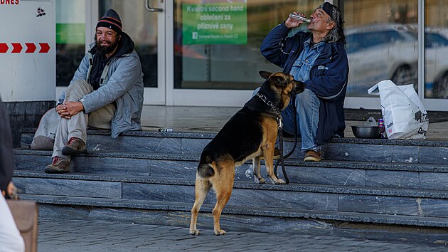 V centru Olomouce vetn okol supermarketu na td Svobody (na snmku) pibylo situac, kdy bezdomovci popjej navzdory zkazu v ulicch alkohol i jinak naruuj podek. een je problematick i proto, e udlovn pokut nem smysl  jsou nevymahateln.