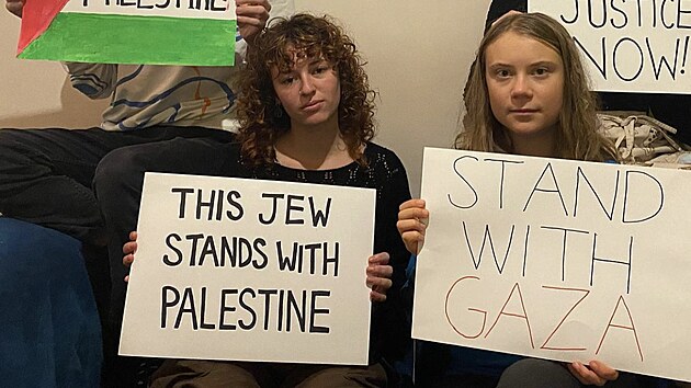 Greta Thunbergov dala na sociln sti najevo podporu Psmu Gazy, pvodn foto ale smazala kvli hrace chobotnice. Ta je povaovan za symbol antisemitismu. (21. jna 2023)