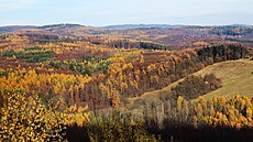 Buky u opadávají a poátkem listopadu tafetu barevného podzimu na Chibech...