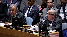 Generální tajemník OSN António Guterres pi setkání Rady bezpenosti OSN (24....