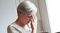 Ilustra�ní snímek