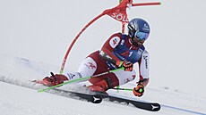 Raku�an Marco Schwarz b�hem ob�ího slalomu v Söldenu.