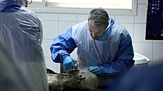 Forenzní experti nejen z Izraele se nyní v Tel Avivu sna�í identifikovat ob�ti...