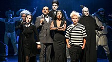 Mstské divadlo Brno uvede muzikál The Addams Family jako vtipnou, ironickou a...