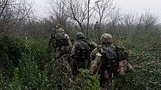 Ukrajinští vojáci se pohybují mezi stromy poblíž řeky Dněpr u Chersonu. (15....