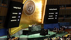 Výsledky hlasování o rezoluci Valného shromádní OSN o ochran civilního...