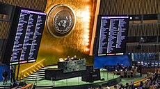 Výsledky hlasování o rezoluci Valného shromádní OSN o ochran civilního...