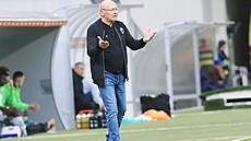 Trenér plzeňských fotbalistů Miroslav Koubek v zápase s Karvinou.