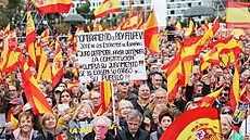 Ve španělském Madridu se sešlo na sto tisíc lidí, aby demonstrovali proti...