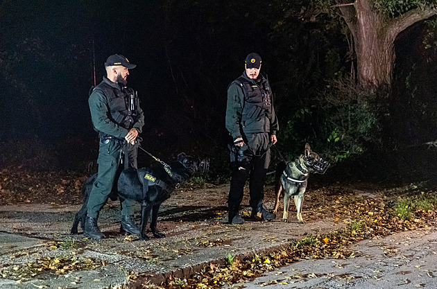 Slováci našli v ohořelém autě tělo bez hlavy, ležela opodál. Stopa vede do Česka