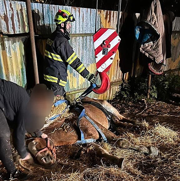 Kůň ležel v ohradě přes dvě hodiny, zpátky na nohy mu pomohli hasiči s jeřábem