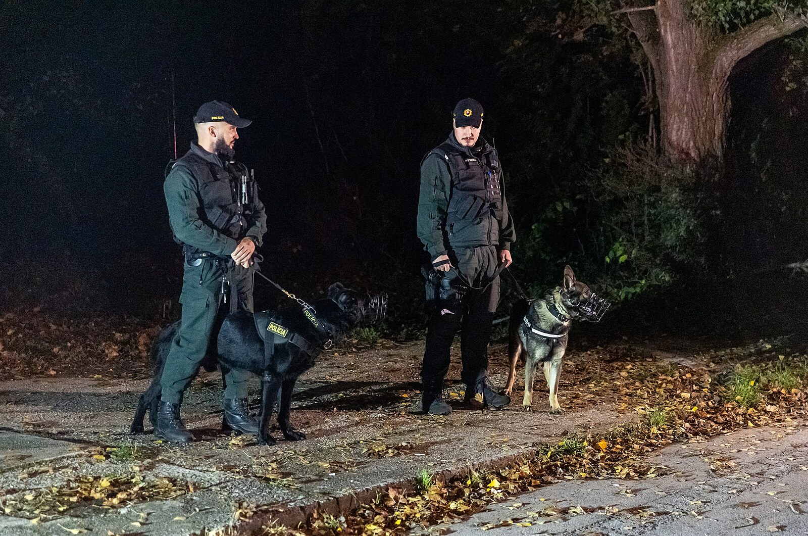 Slováci našli v ohořelém autě tělo bez hlavy, ležela opodál. Stopa vede do Česka